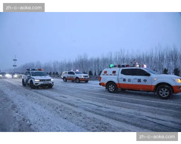 美国四人雪车队三名队员未登车驾驶员霍恩独自完赛成绩有效